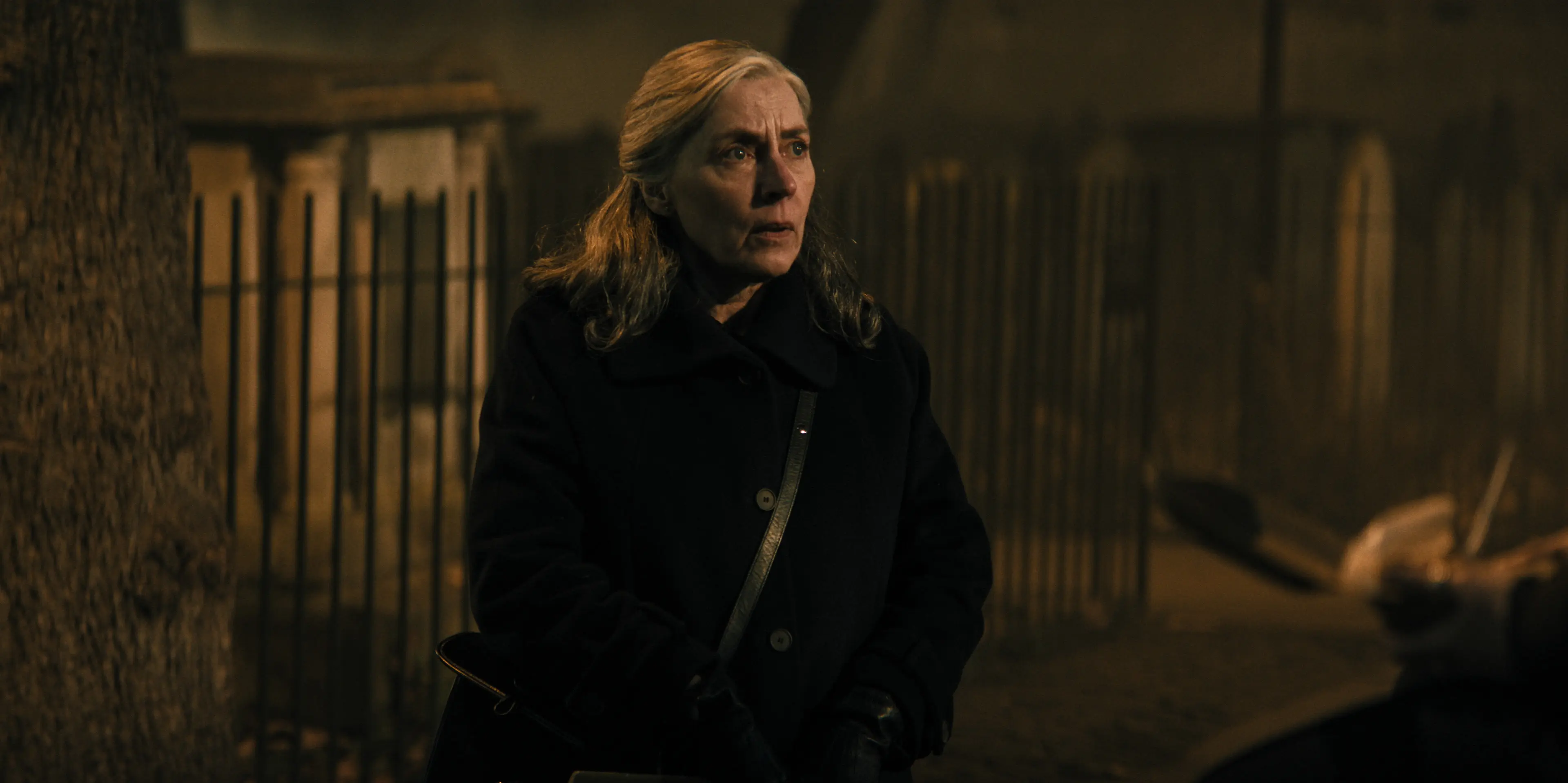 Catherine Standish wears a dark coat and gloves beside a metal fence at night.