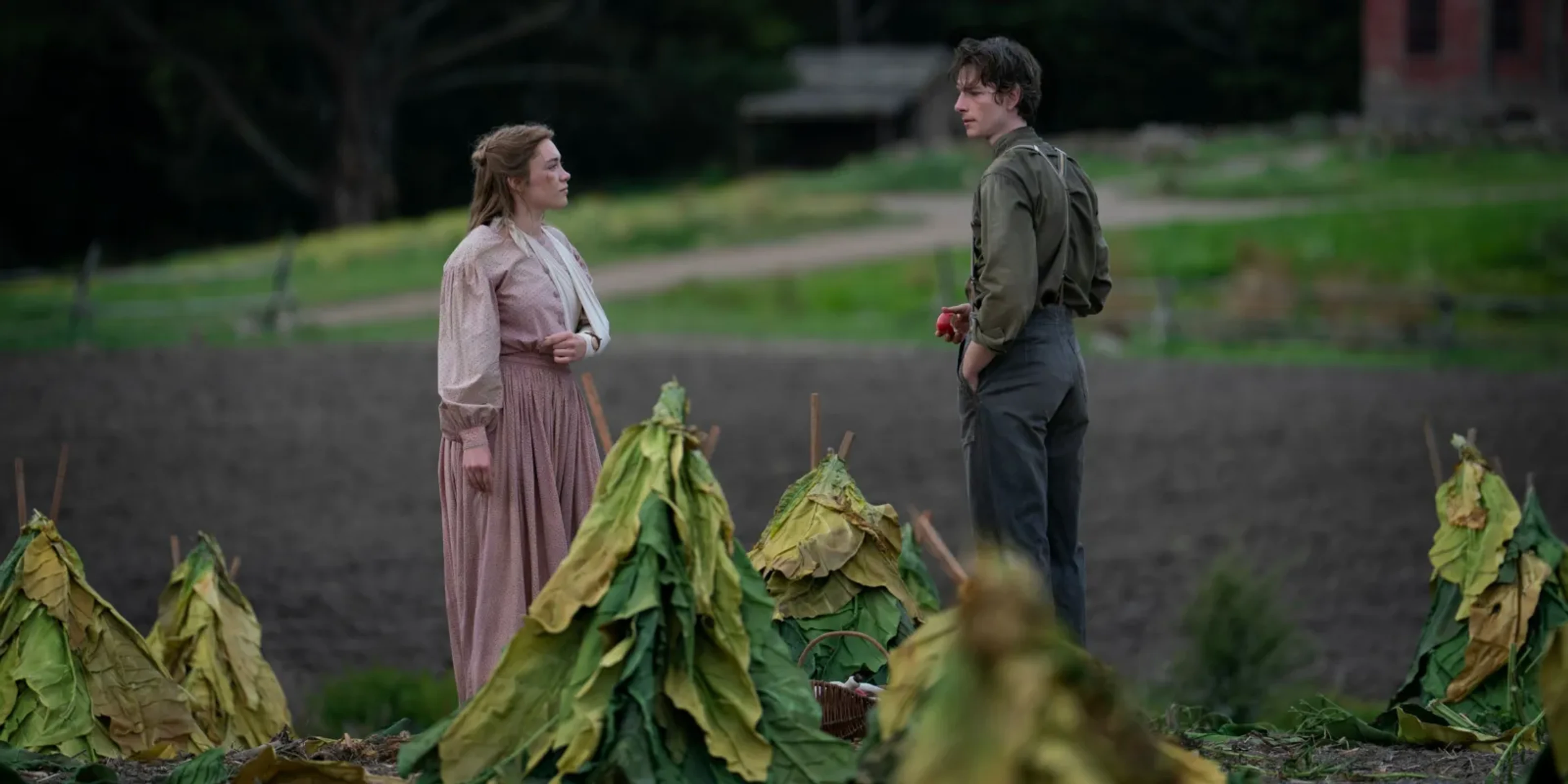 Florence Pugh as Cathy Ames speaks with Mike Faist as Charles Trask beside tobacco plants in East of Eden.