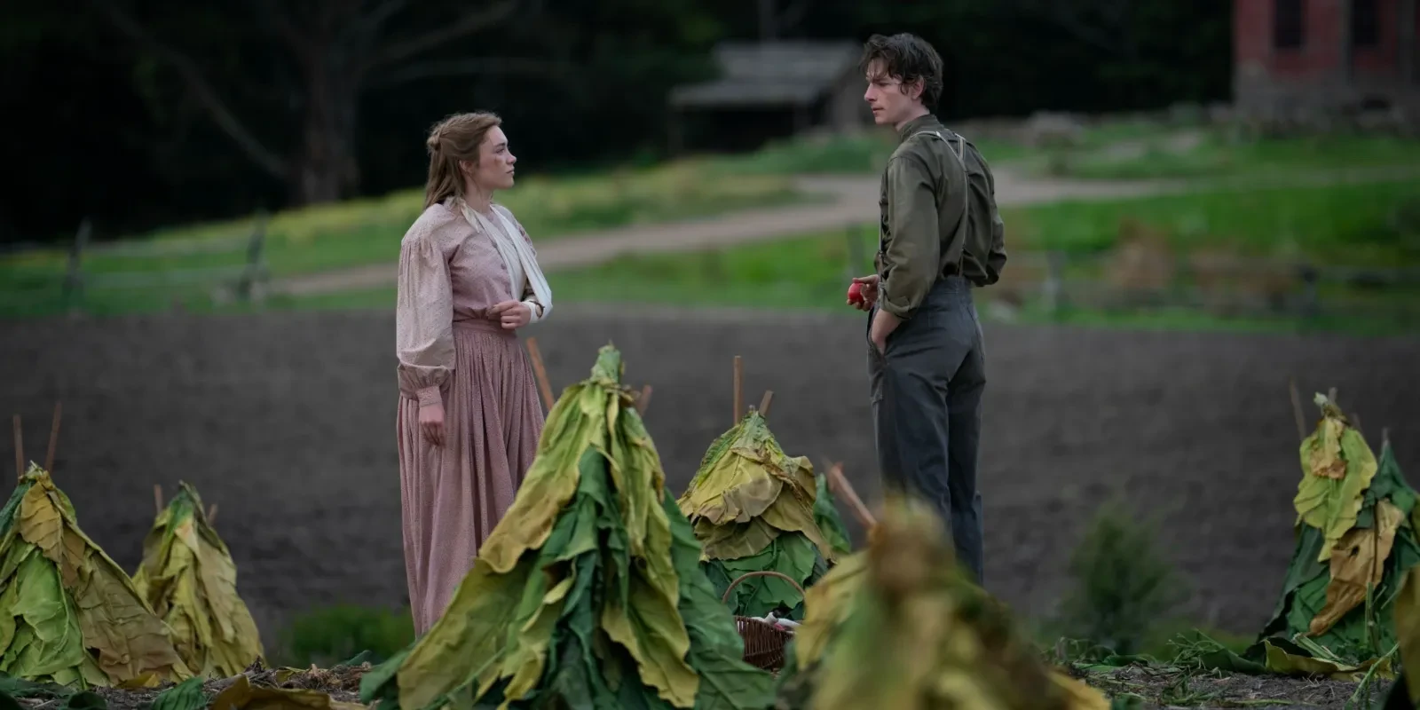 Florence Pugh as Cathy Ames speaks with Mike Faist as Charles Trask beside tobacco plants in East of Eden.