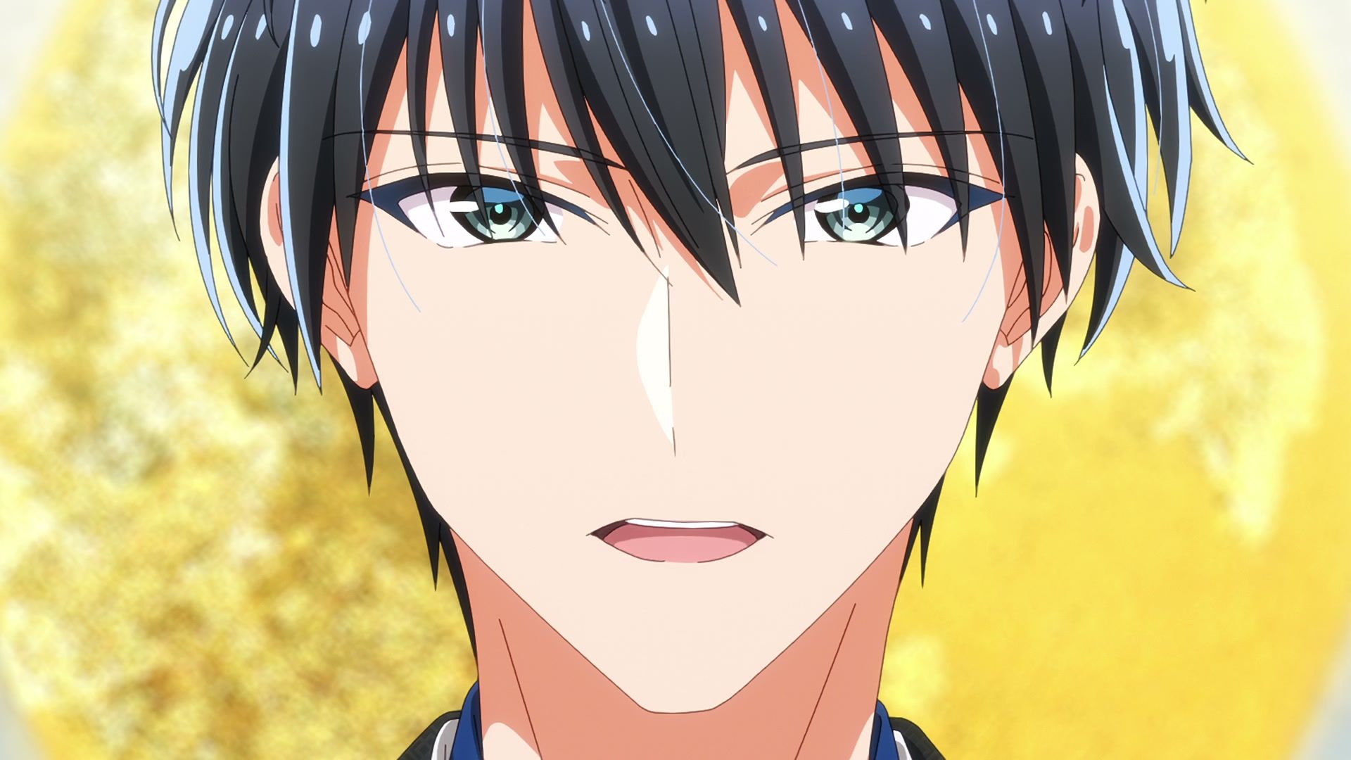 Saku Ichinomiya in Bride of the Barrier Master.