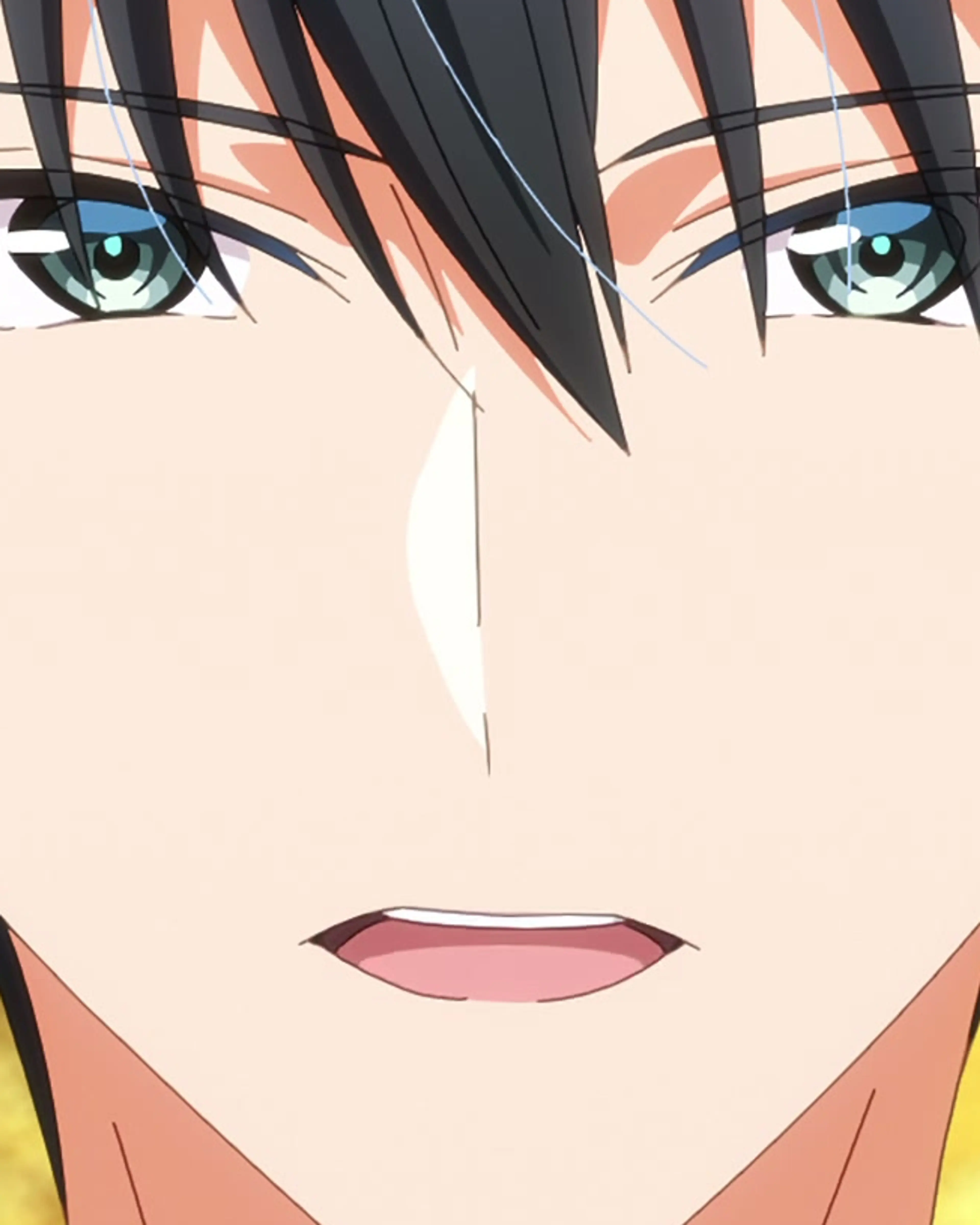 Saku Ichinomiya in Bride of the Barrier Master.