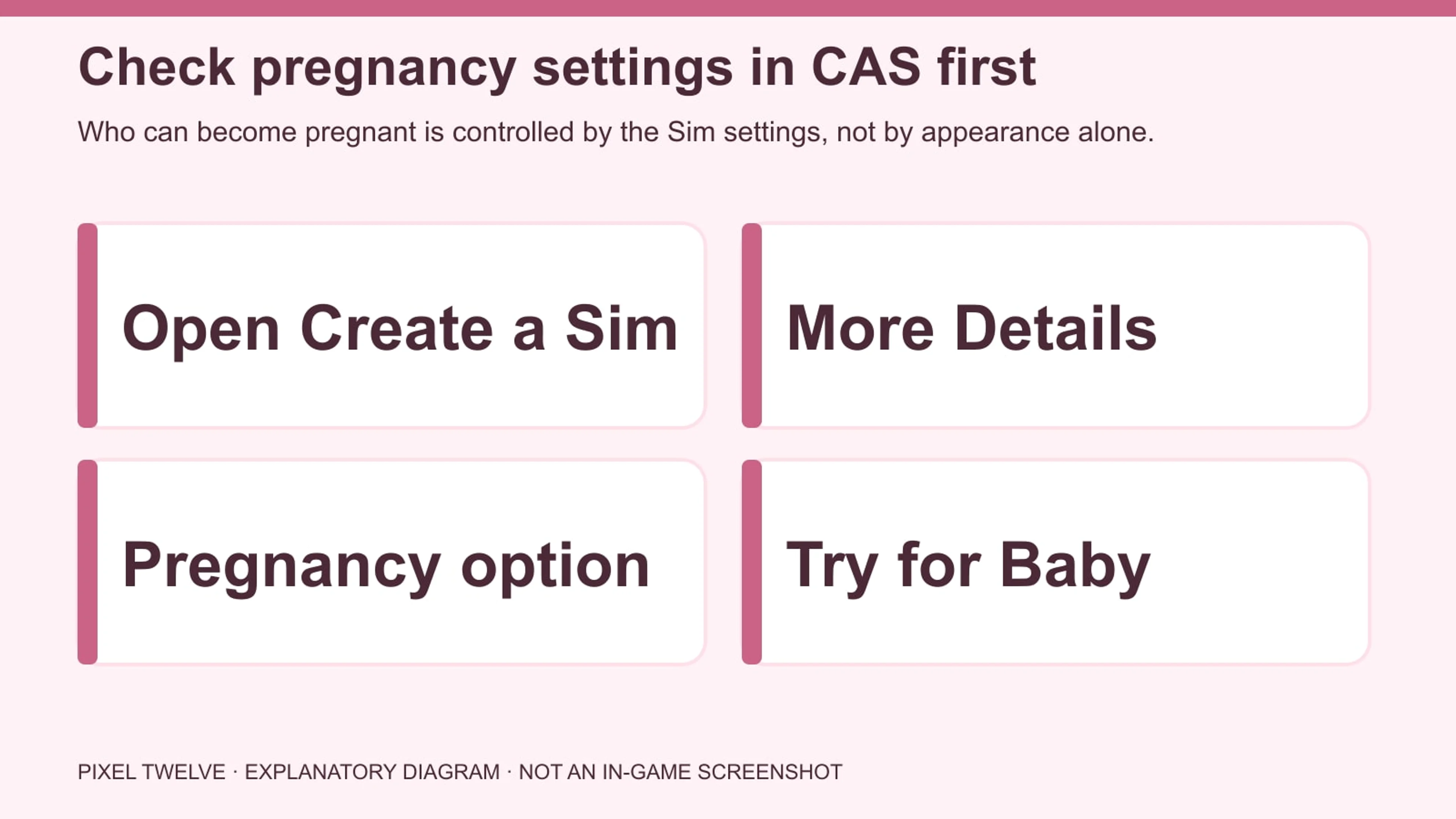 Diagram showing Create a Sim, More Details and the Pregnancy option before Try for Baby.