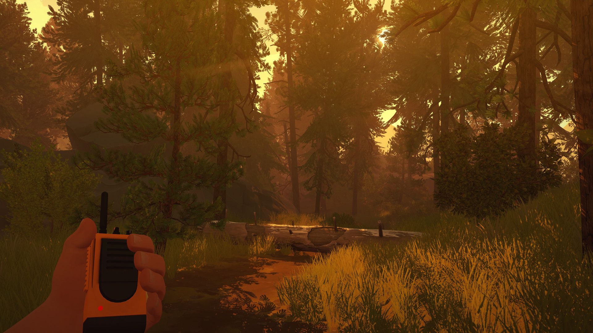 First-person view of a handheld radio on a forest trail.