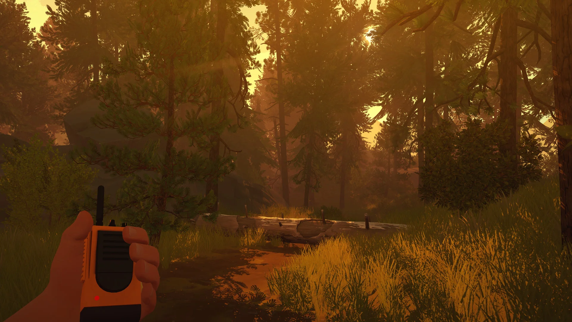 A handheld radio appears on a forest trail in Firewatch.