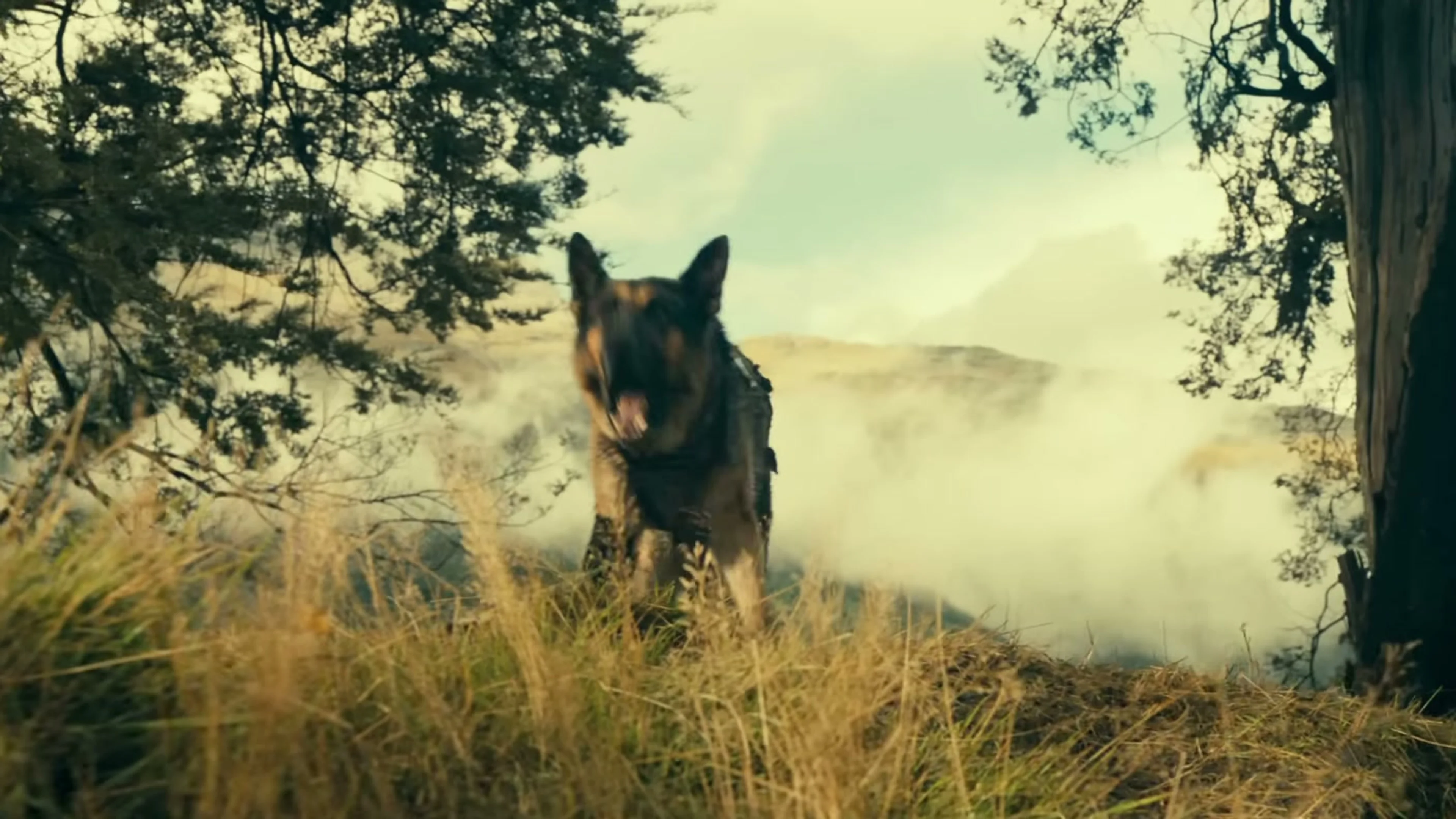 Odin runs through a smoky forest in the Heart of the Beast trailer.