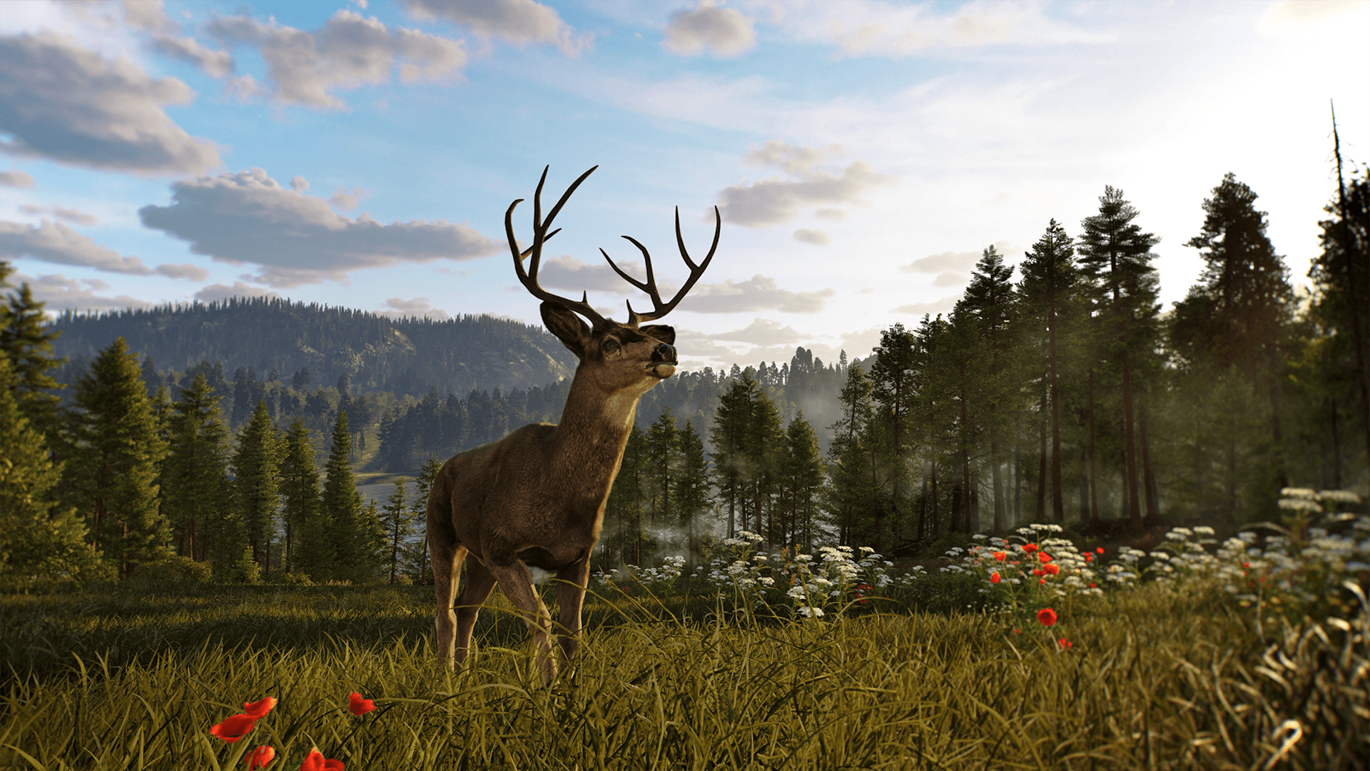 Way of the Hunter 2