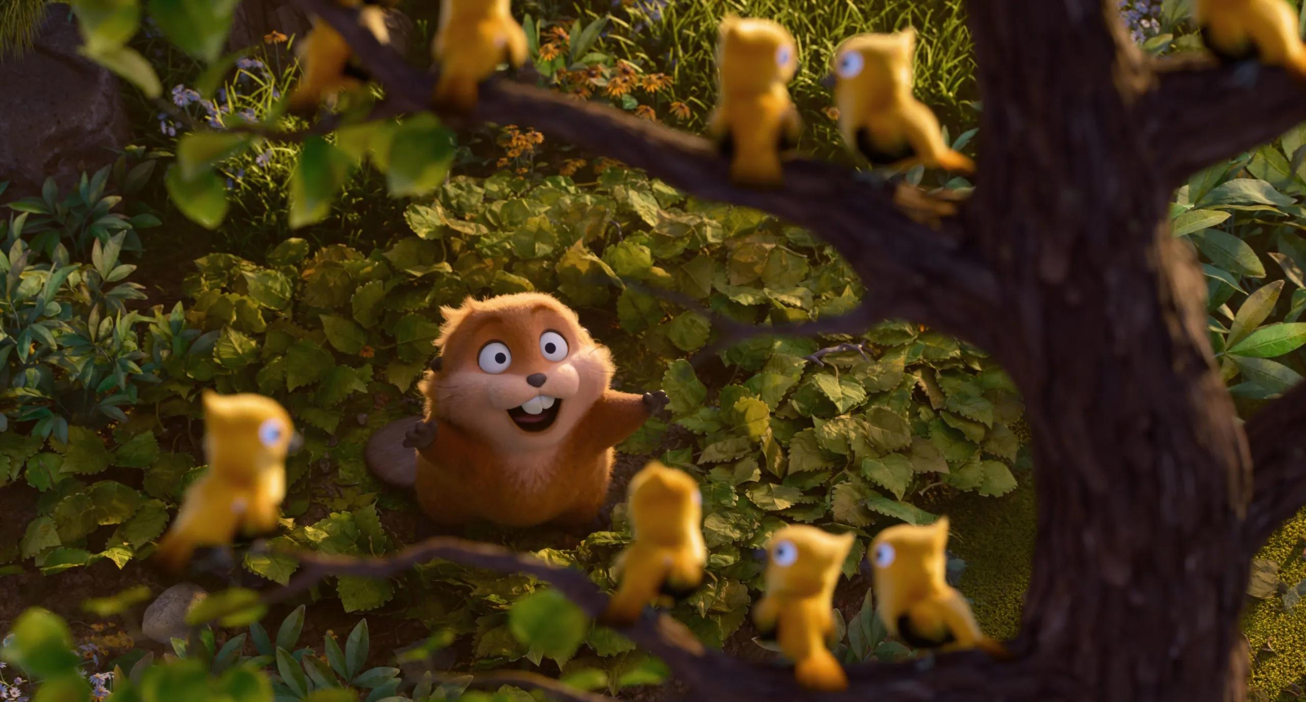 Mabel looks up at yellow birds perched in a woodland tree.