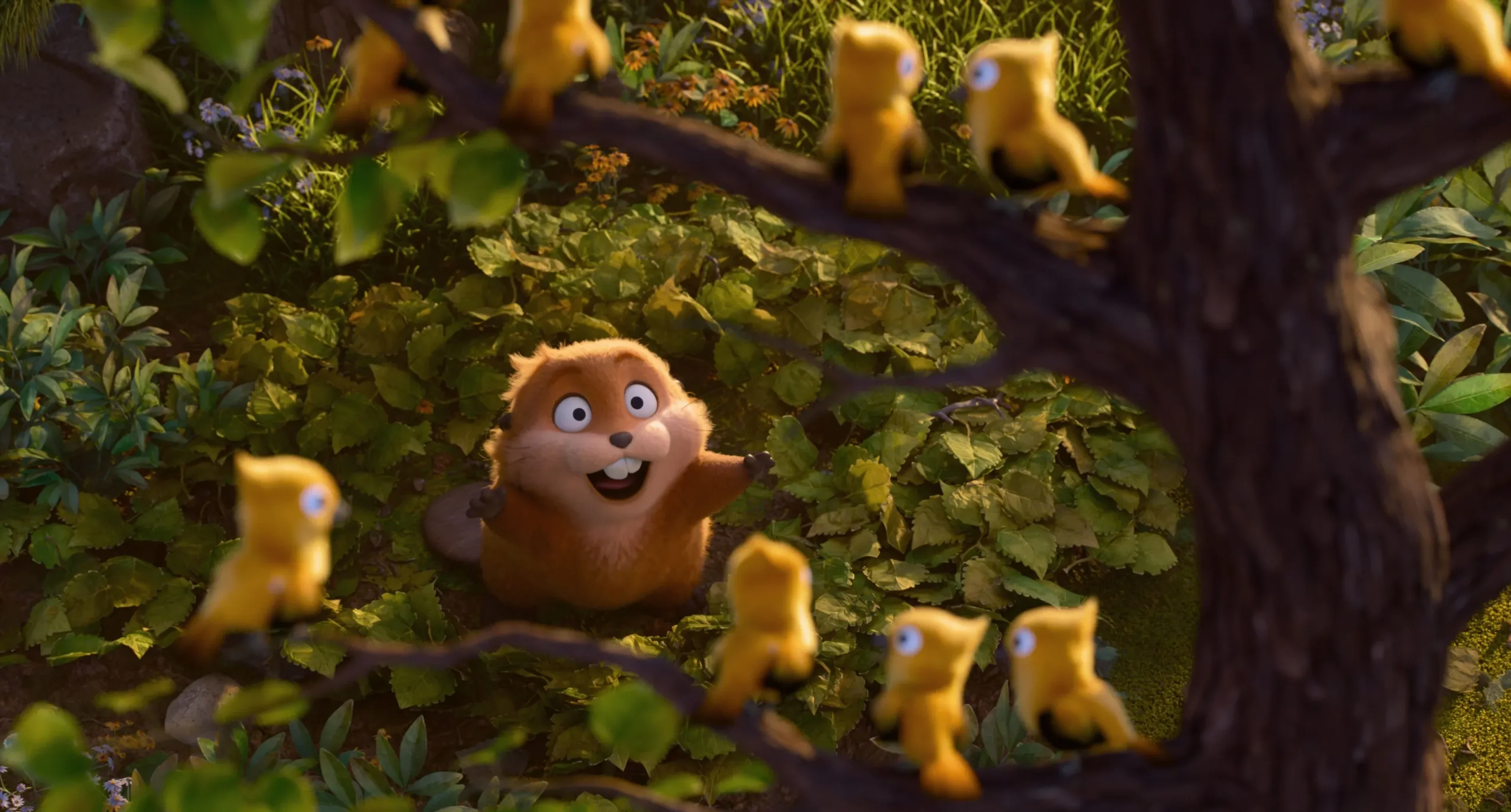 Mabel looks up at yellow birds perched in a woodland tree.
