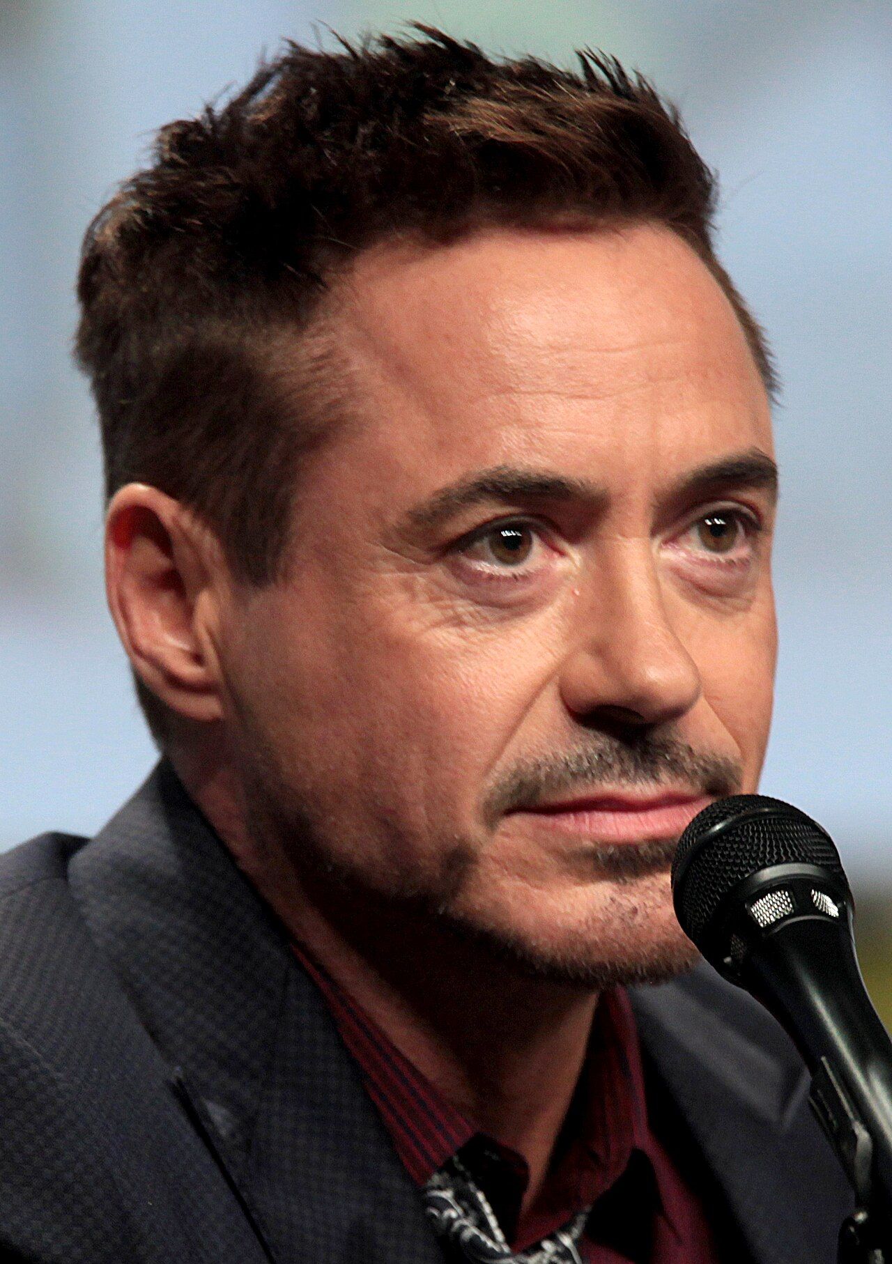 Robert Downey Jr. at San Diego Comic-Con in 2014.