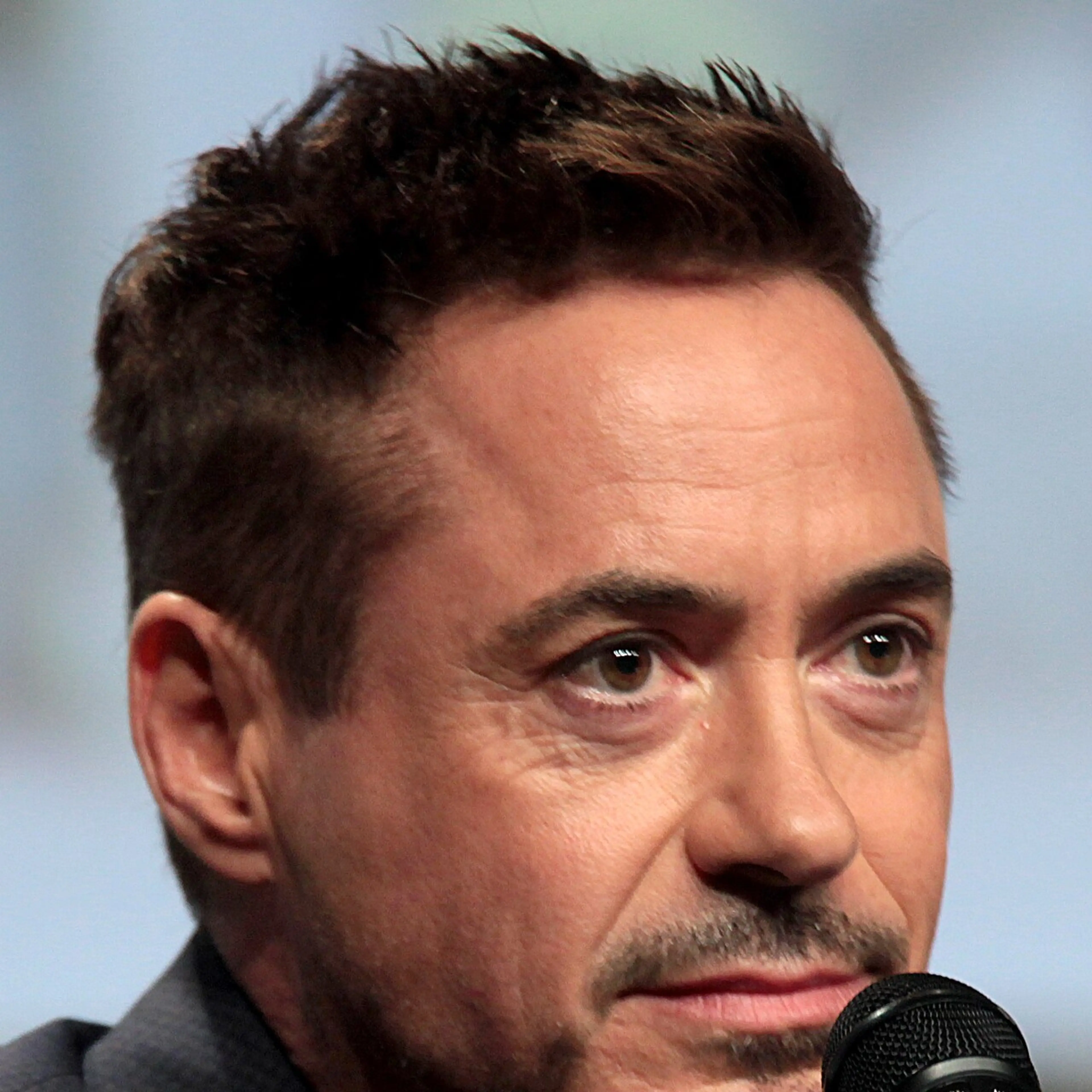 Robert Downey Jr. at San Diego Comic-Con in 2014.