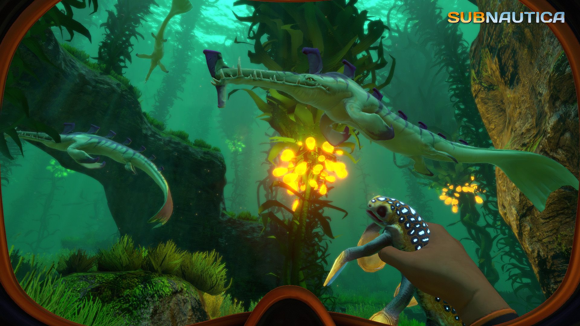 A diver swims near plants and unfamiliar sea life in a green underwater area.