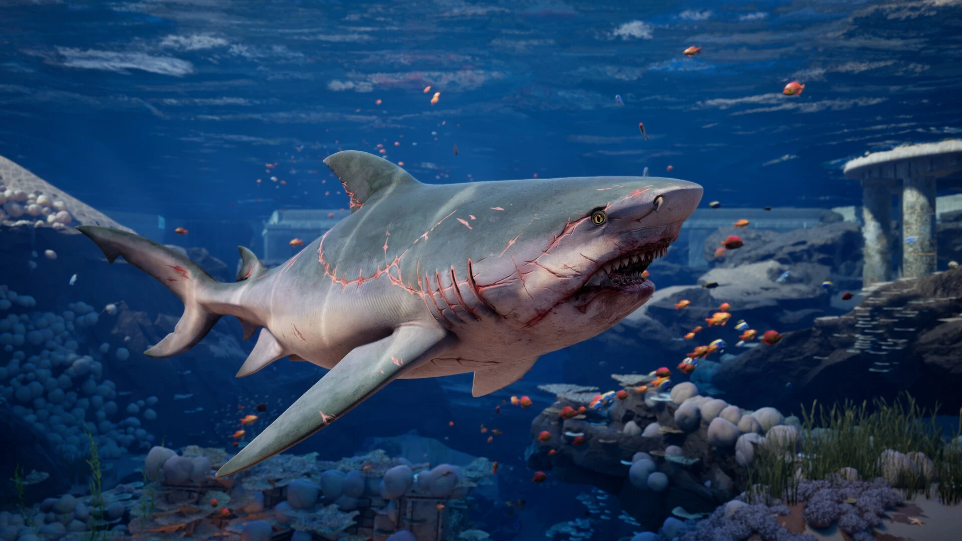 The Maneater 2 bull shark swims through colorful underwater ruins.