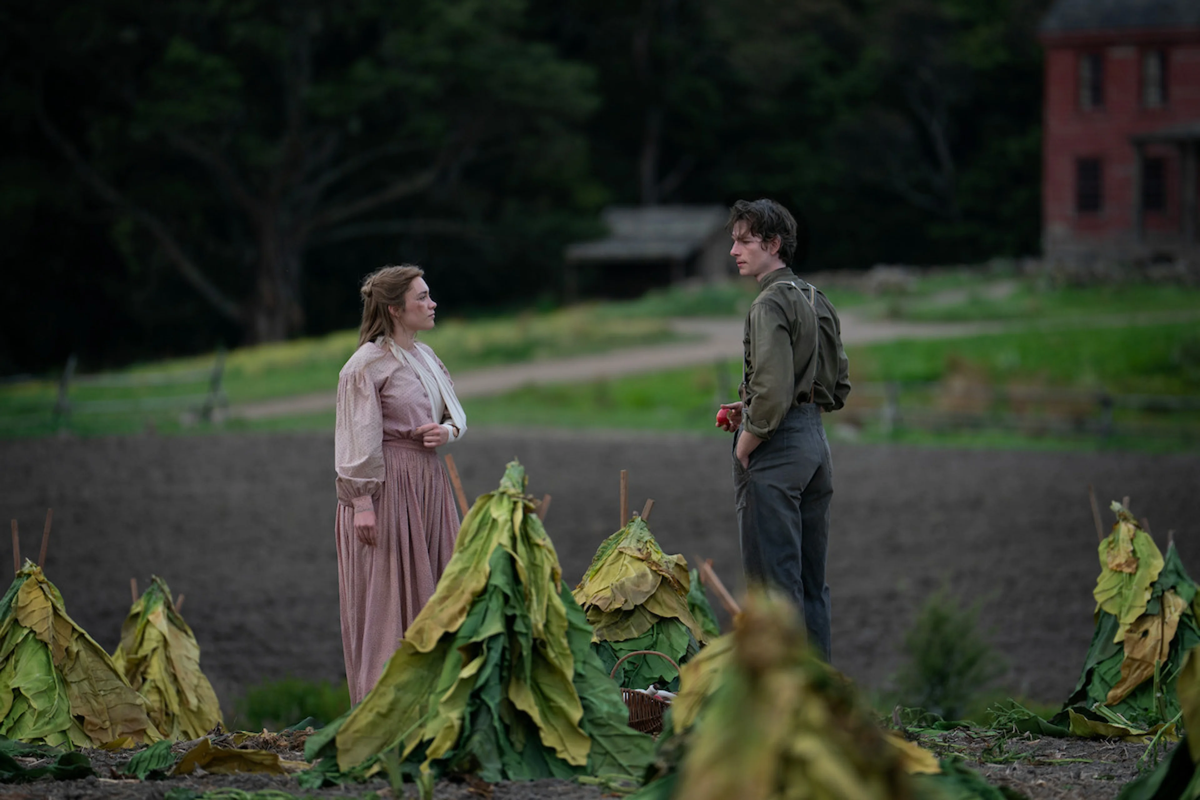 Cathy and Adam face each other in a field of large green leaves beside a red barn.