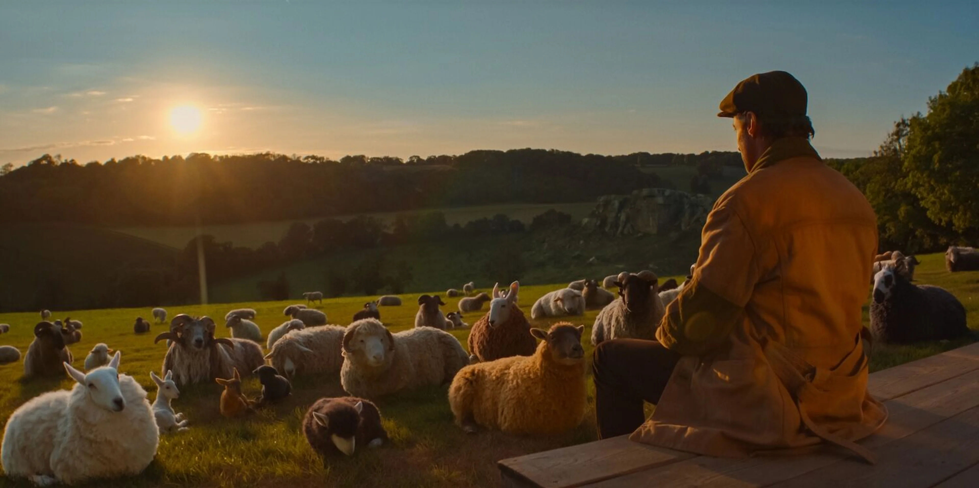 George sits outside his caravan at sunset and reads a book to his sheep.