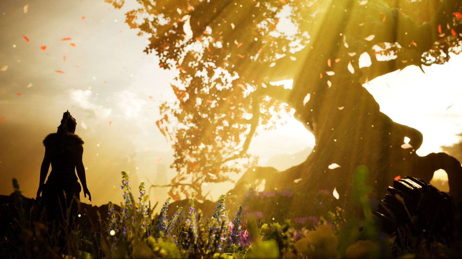 Senua looks toward a tree lit by sunlight.