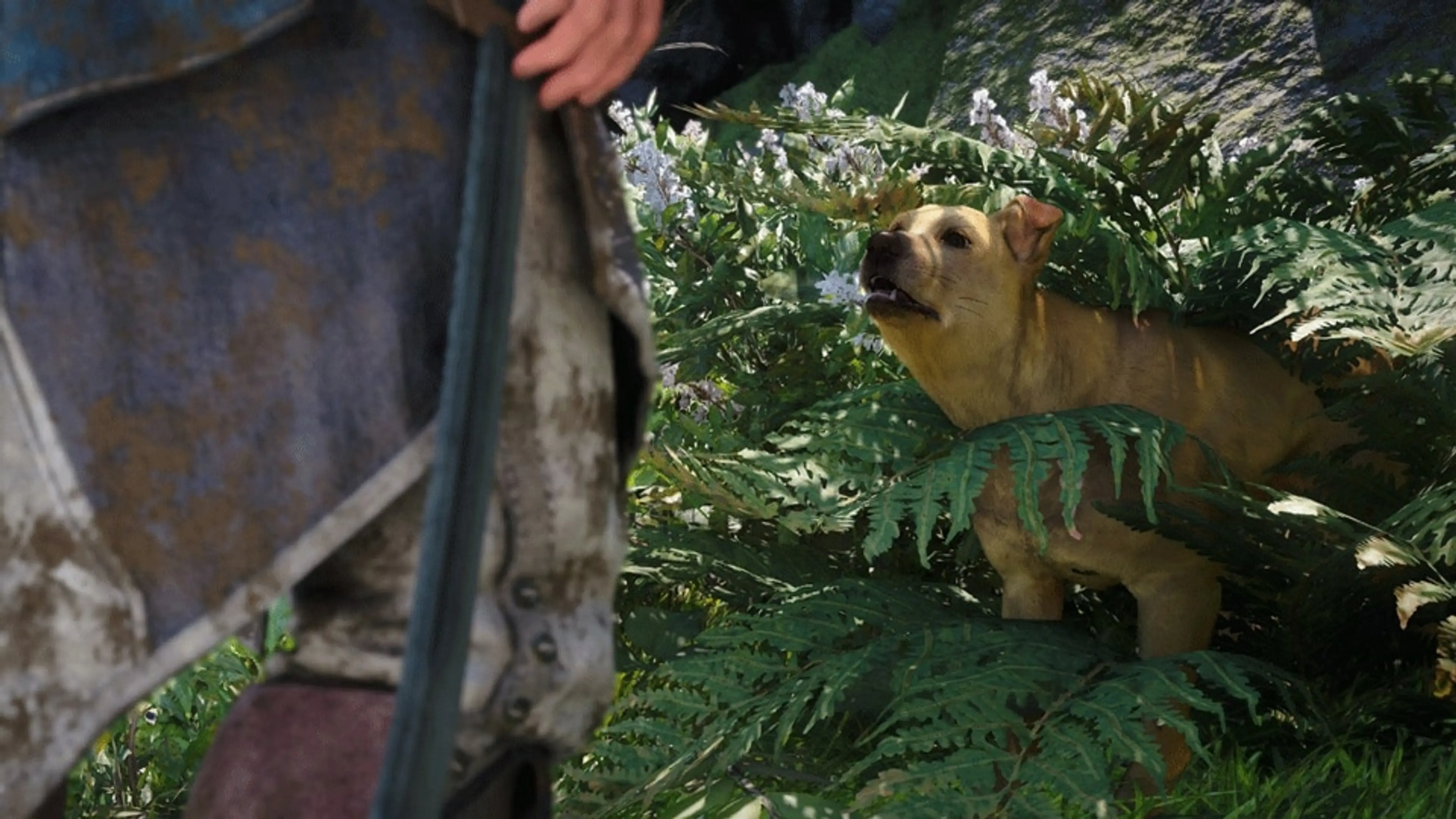 A small dog looks up from green foliage as Edward approaches in Black Flag Resynced.