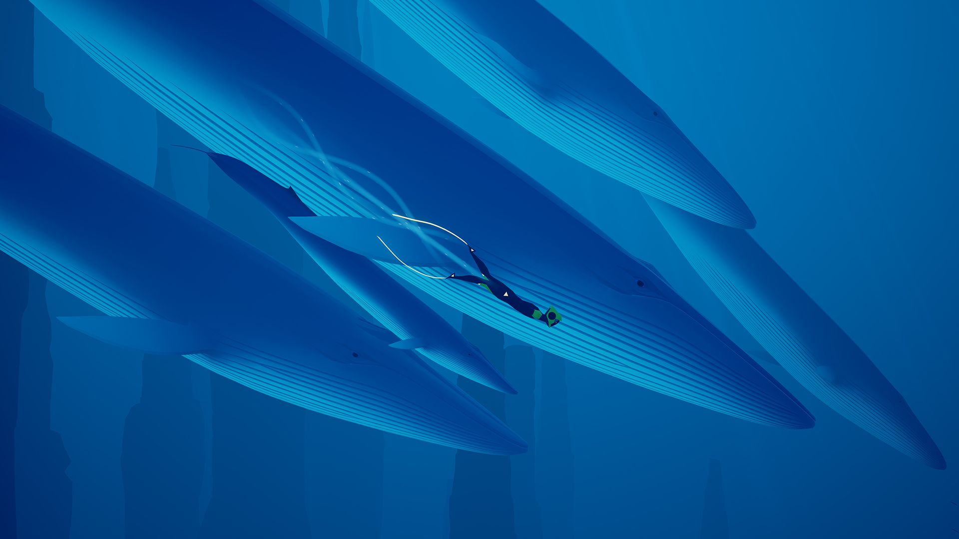 The diver swims beside the heads of large whales in deep blue water.