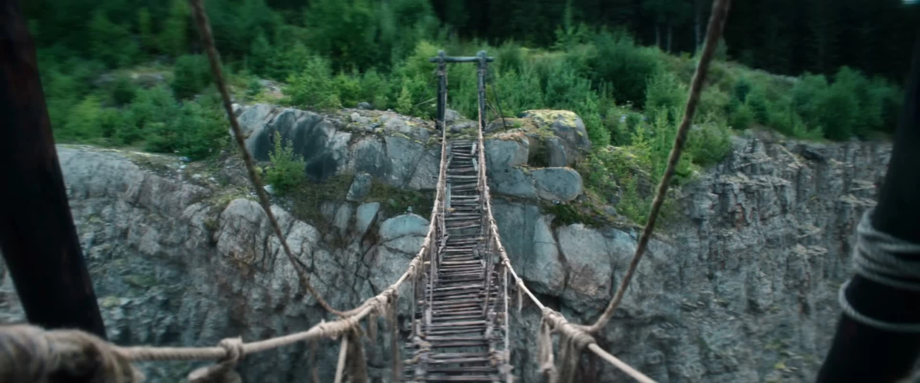 A narrow rope bridge stretches between steep rock faces in the forest.