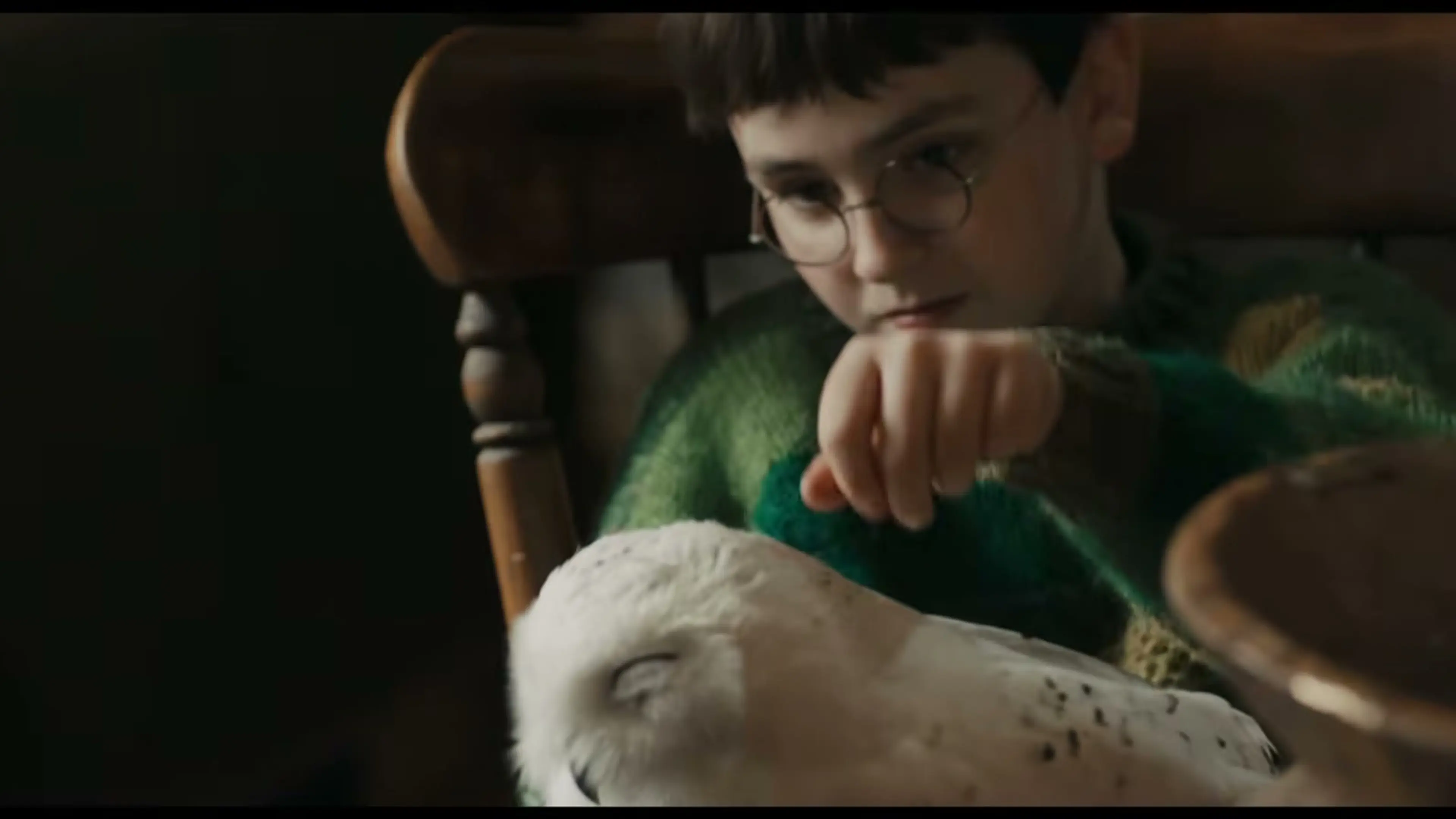 Harry Potter gently strokes the white owl Hedwig inside a warmly lit room.