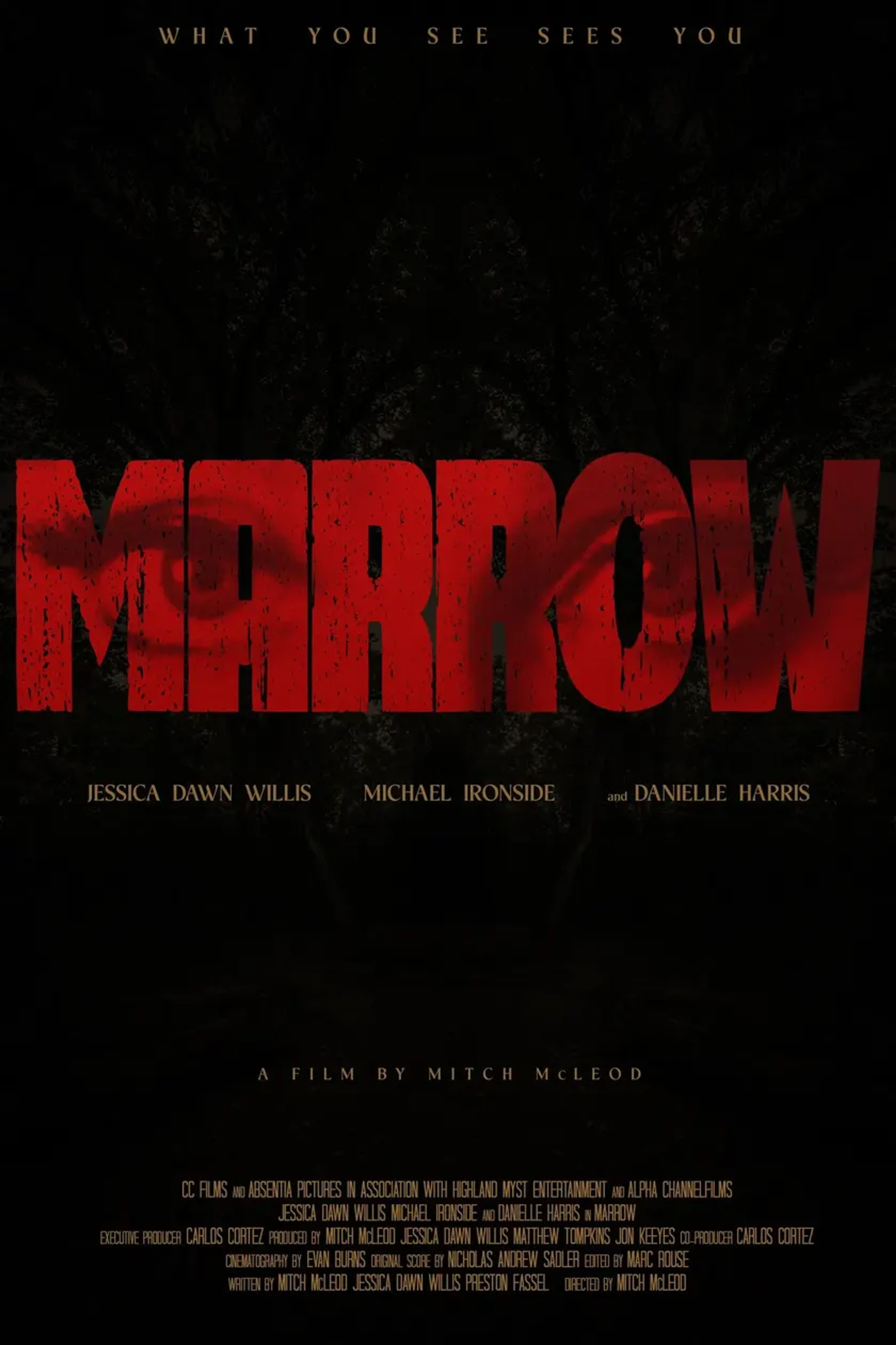 Official Marrow poster with its red title, cast names and a dark forest background.