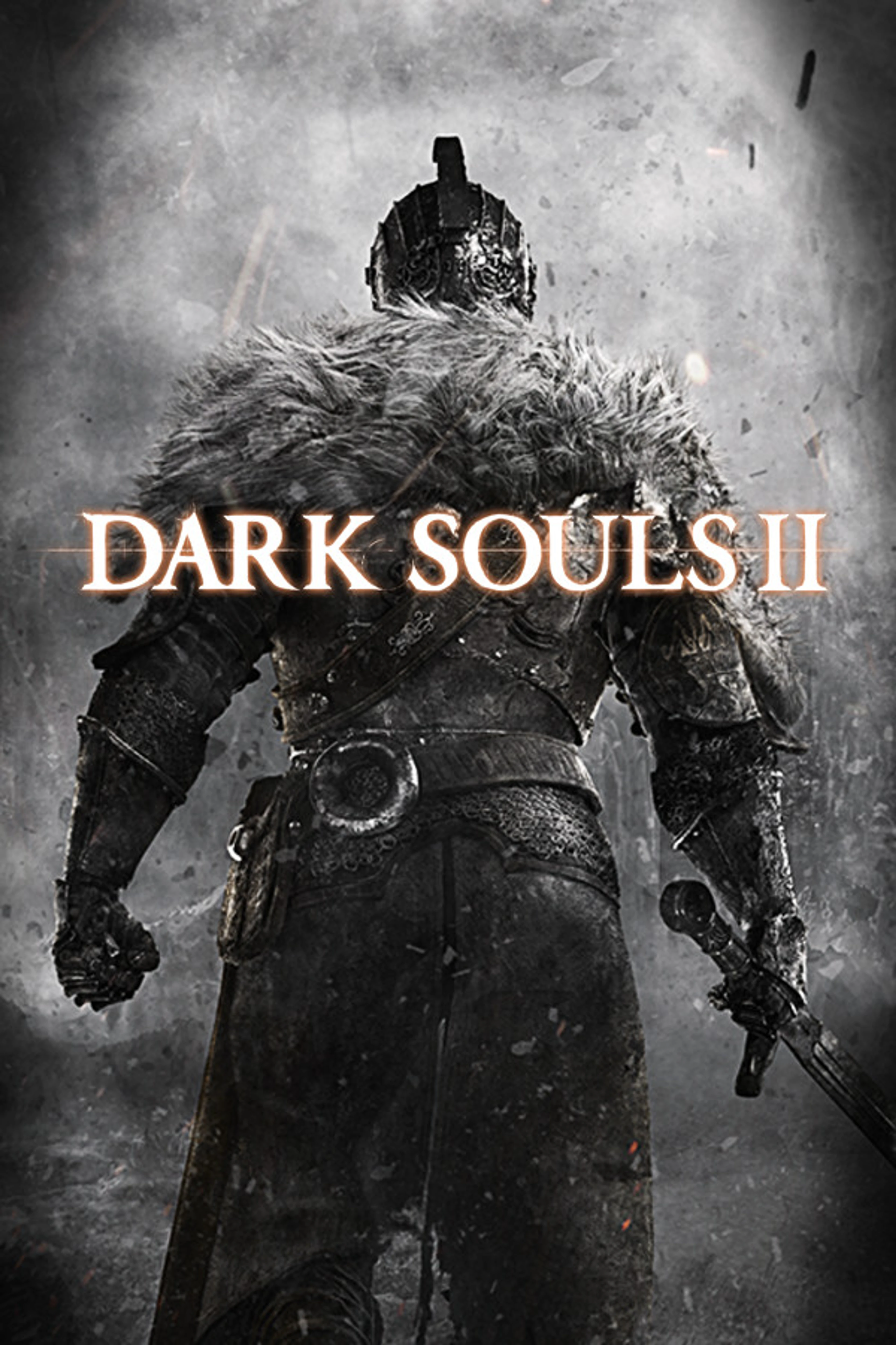 Official Dark Souls II cover with a fur-cloaked armored figure seen from behind under the native game logo.