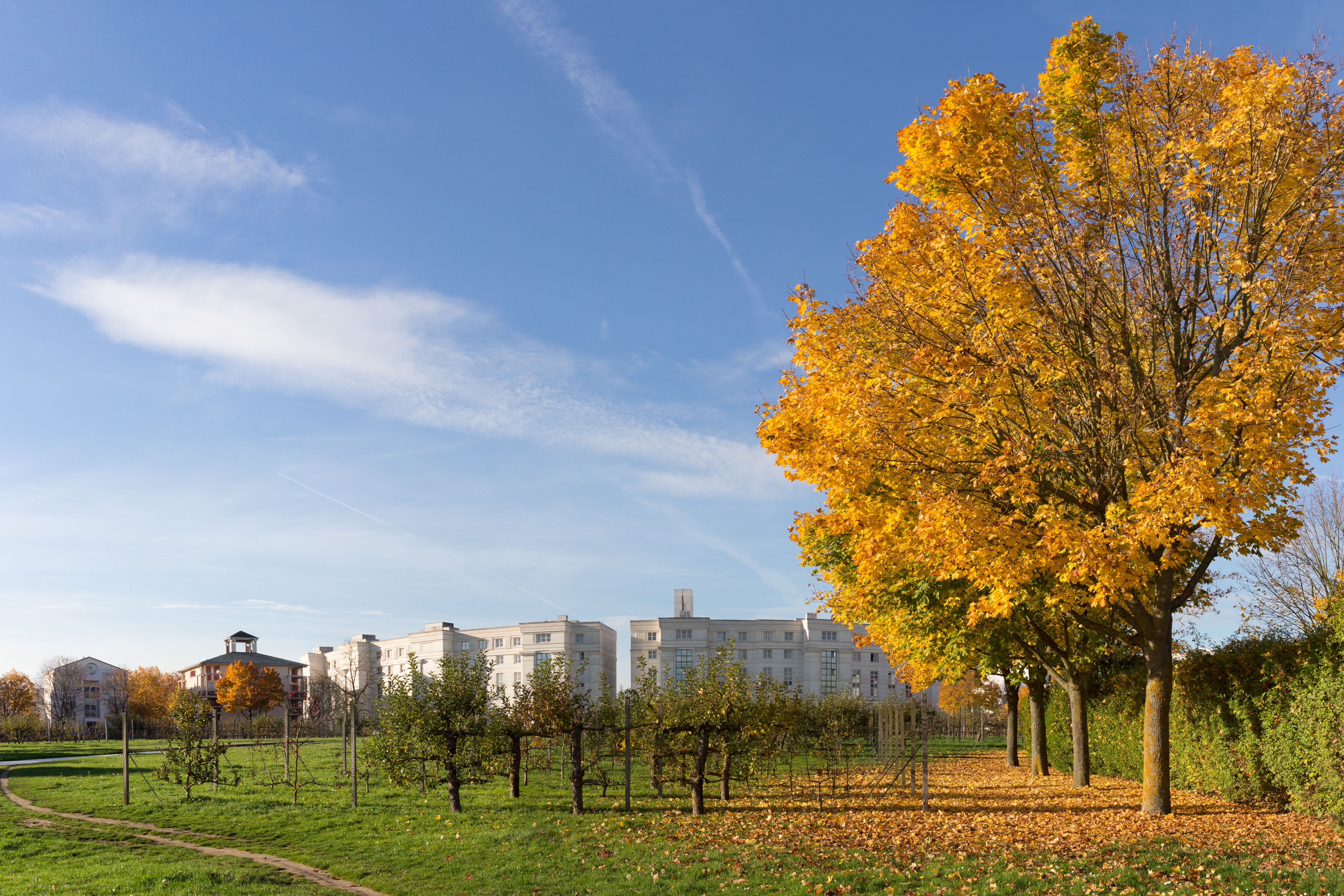 Golden autumn trees frame the Axe Majeur landscape in Cergy-Pontoise under a clear blue sky.