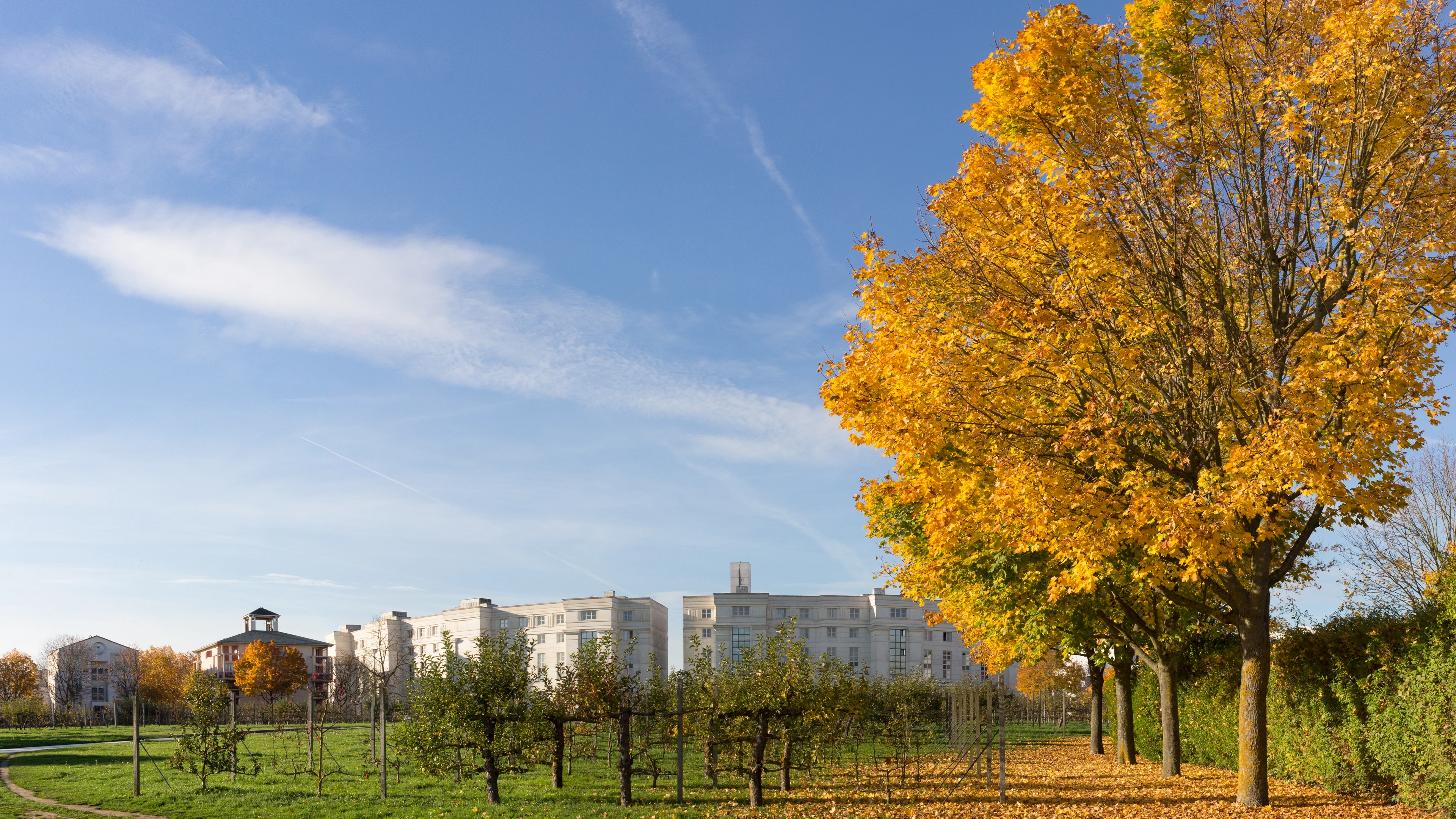 Golden autumn trees frame the Axe Majeur landscape in Cergy-Pontoise under a clear blue sky.