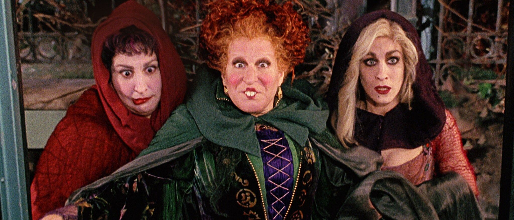 Bette Midler as Winifred Sanderson in the 1993 Hocus Pocus.