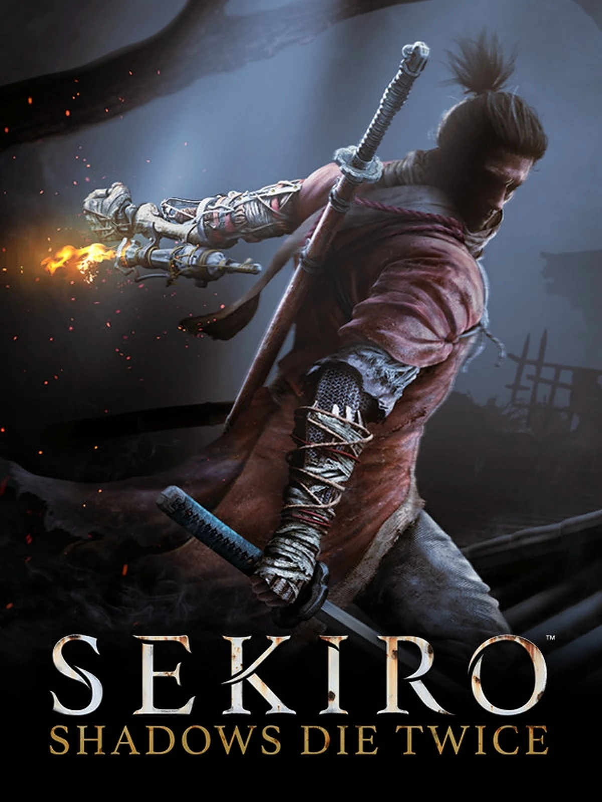 Original official Sekiro: Shadows Die Twice cover showing Wolf with his sword and the game logo.