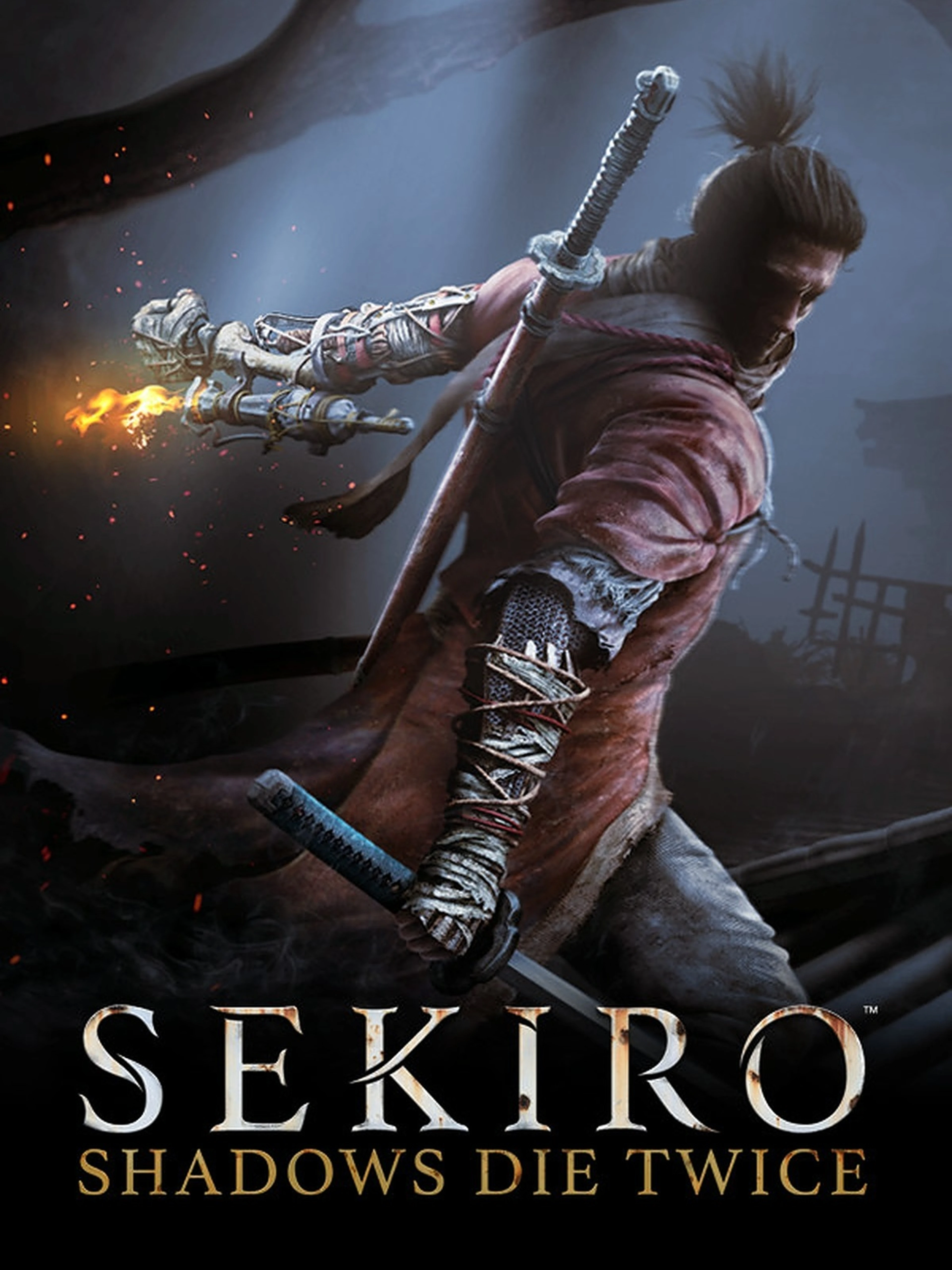 Original official Sekiro: Shadows Die Twice cover showing Wolf with his sword and the game logo.
