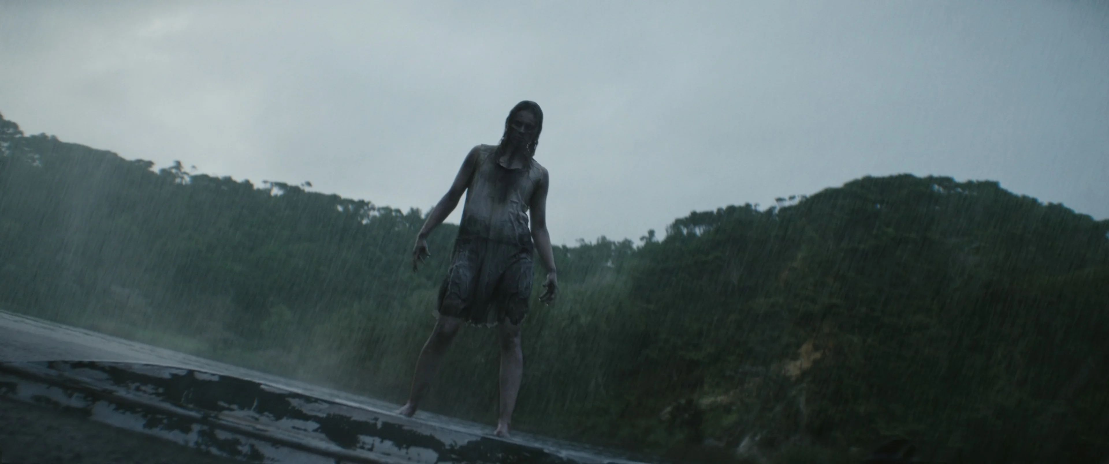 A woman stands on a roof beneath a gray sky, with trees behind her.