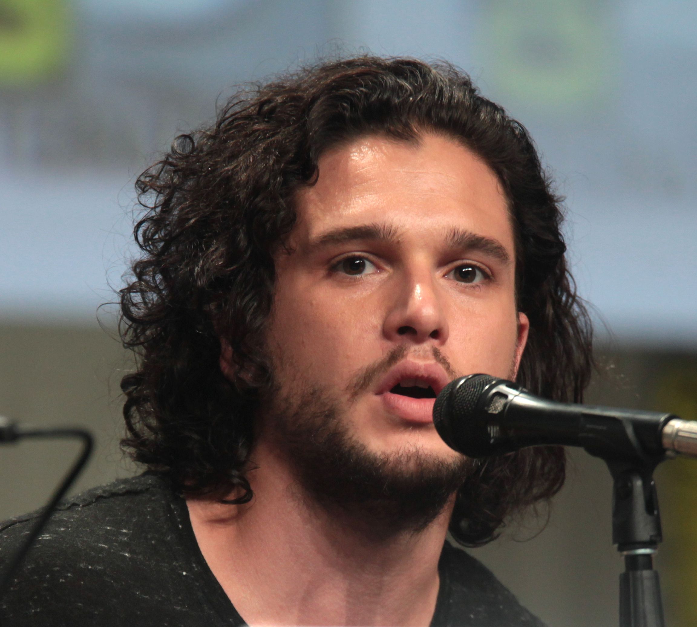 Kit Harington speaks at the San Diego Comic-Con panel in 2014.