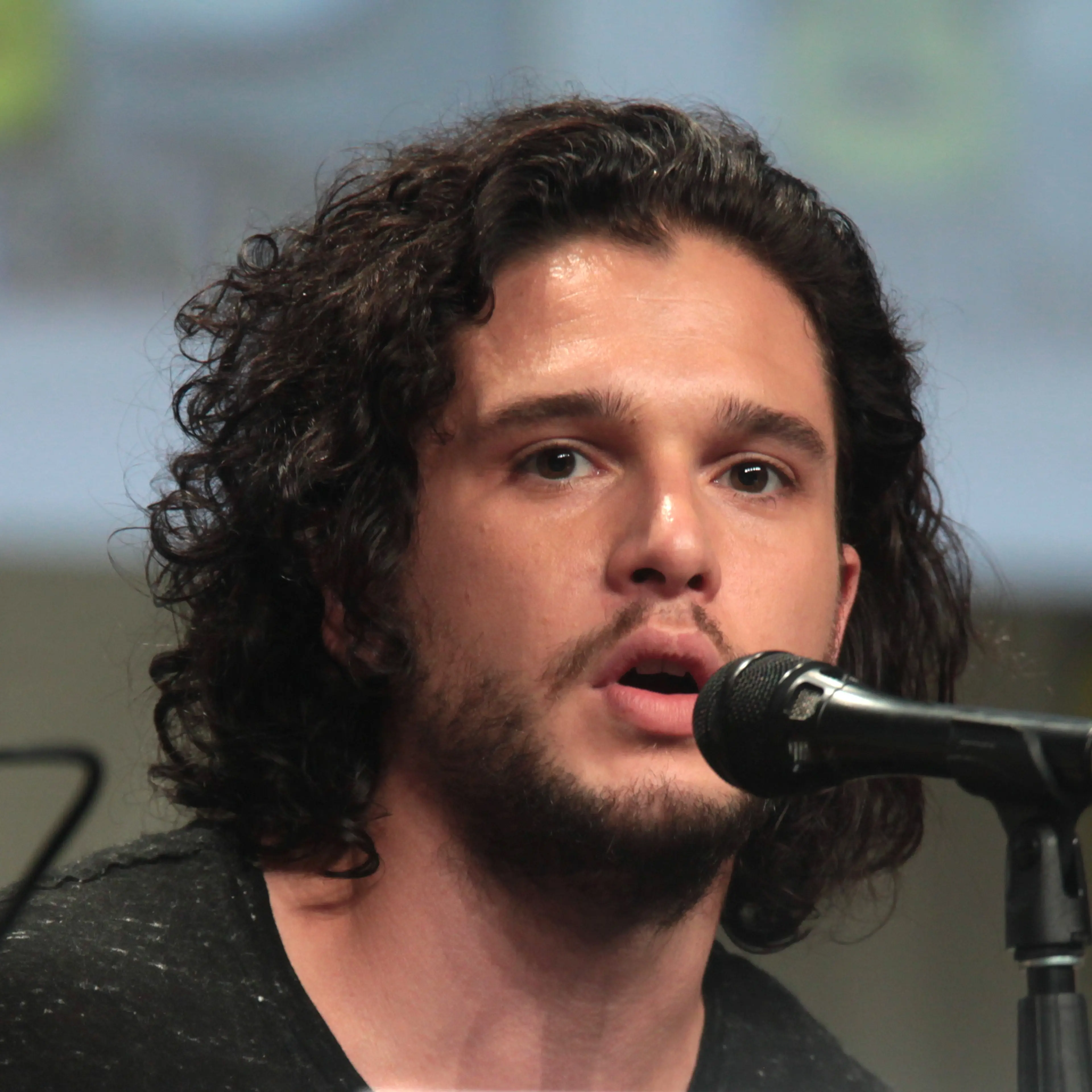 Kit Harington speaks at the San Diego Comic-Con panel in 2014.